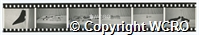 CR4804/CR4804_3_173_003.jpg